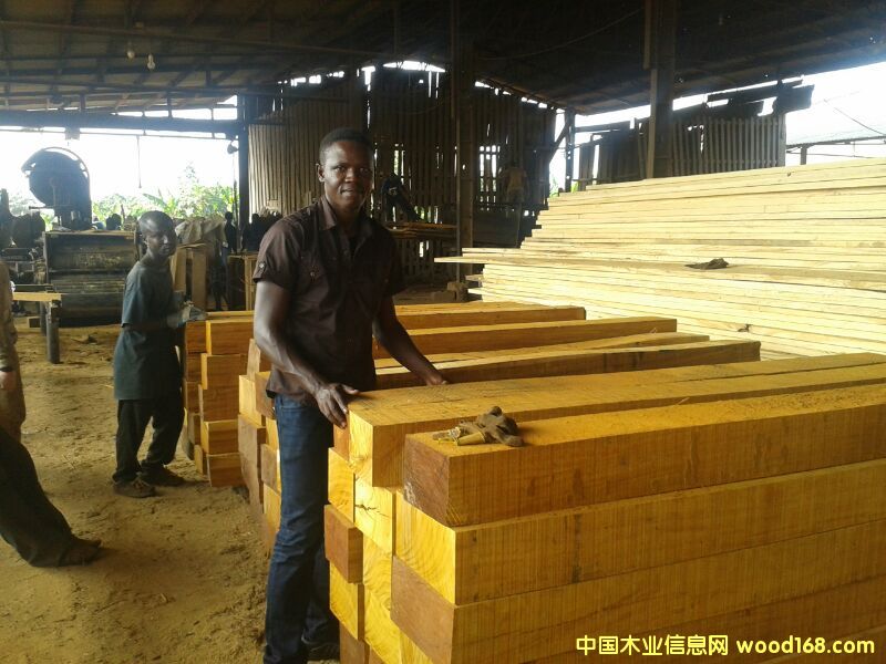 �A�P��������