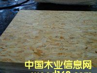 �W�ɰ�OSB��ĵ�Ԕ��(x��)��B