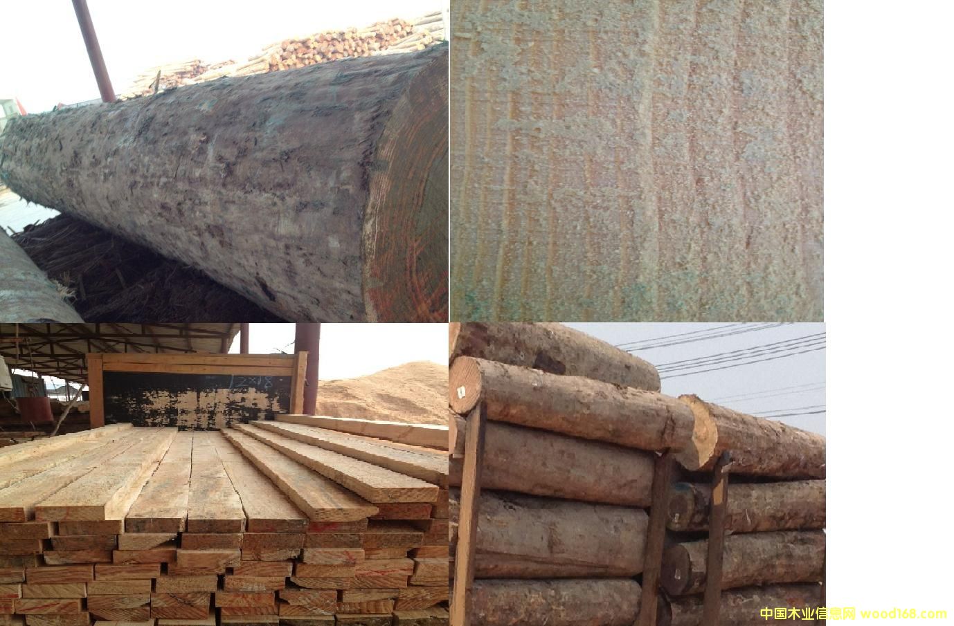 ݗ���ɵ�Ԕ��(x��)��B