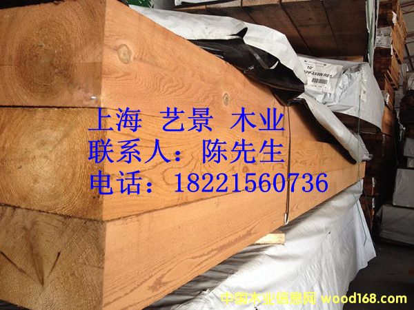 �tѩ�ɵ����c(di��n)�������Ԕ��(x��)��B