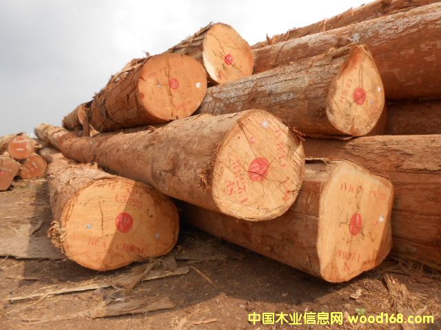 ��ľ��Ԕ��(x��)��B