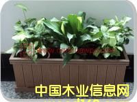 �����Ԕ��(x��)��B