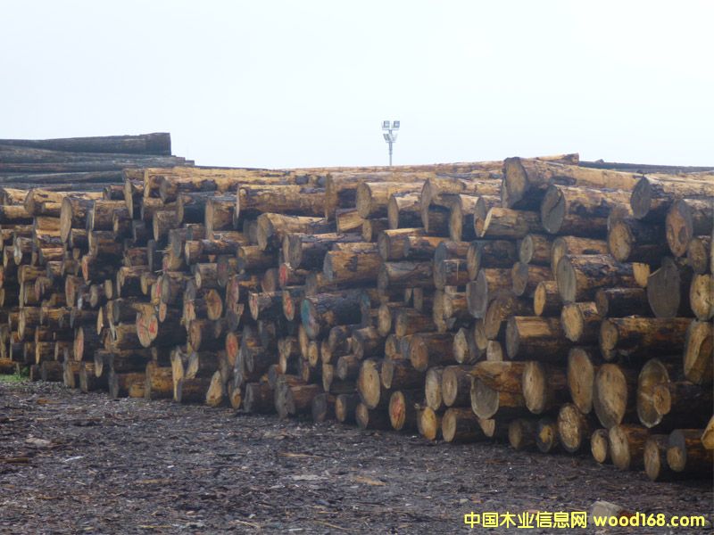 ��ɼ�����ô󣩵�Ԕ��(x��)��B