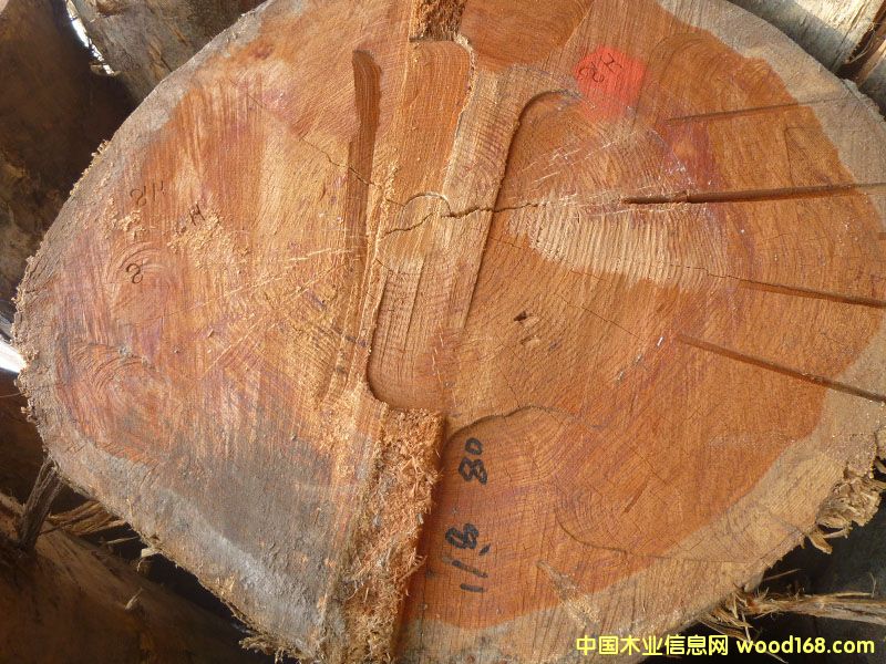 �����ɣ������ģ���Ԕ��(x��)��B