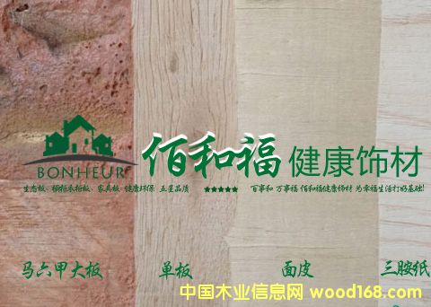 �R���� ���B(t��i)���������¹���Ԕ����B