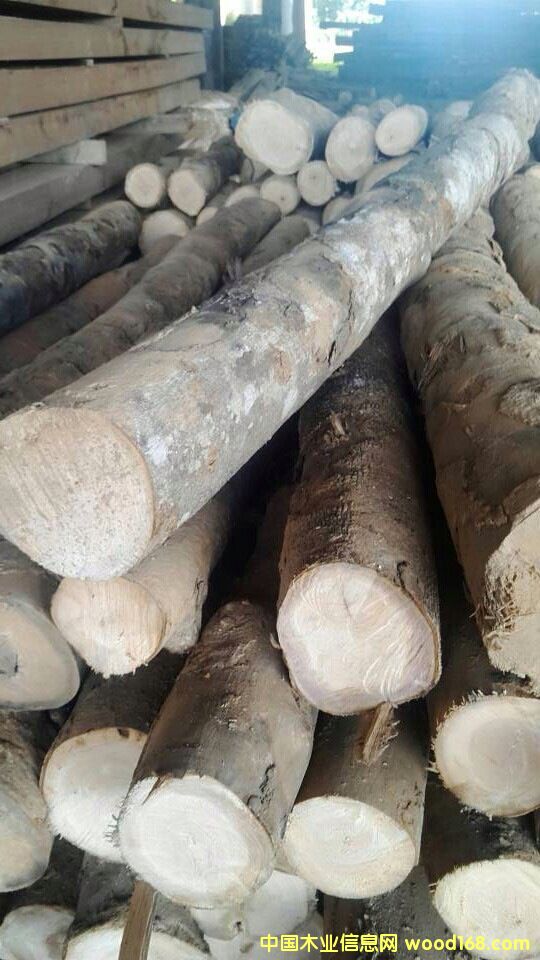 ʯ��ľ��Ԕ��(x��)��B