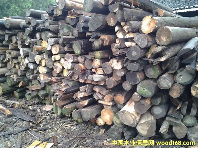 2�������f������������Ԕ��(x��)��B