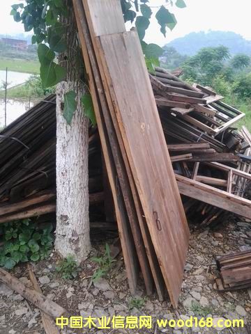 �fɼľ�T���Ԕ��(x��)��B