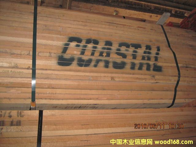 �����t���Ԕ��(x��)��B