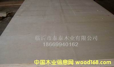 ���b�×�ľ�z�ϰ�