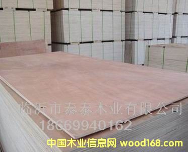 ��(zhu��n)�I(y��)����(y��ng)���b��    