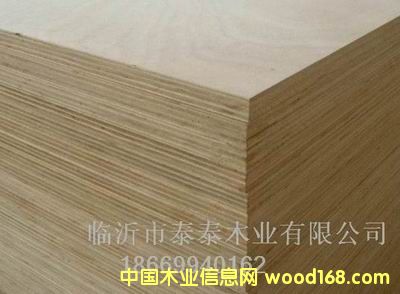 ��ľ���Ӱ� 