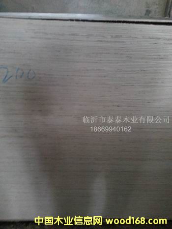 䓎��䌣(zhu��n)�ð��b��