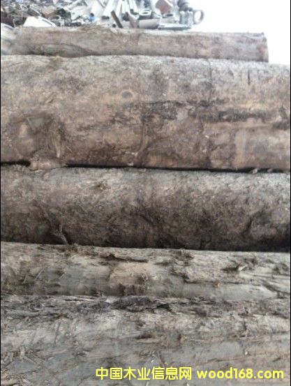 �S��骵�Ԕ��(x��)��B