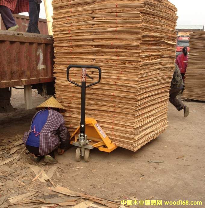 桉木單板的詳細(xì)介紹