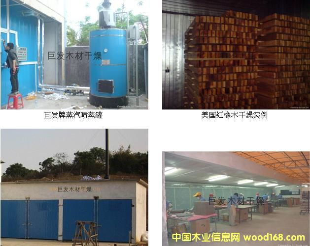 ��ľ������Ԕ��(x��)��B