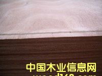 �һ�о��Ƥ��Ԕ��(x��)��B