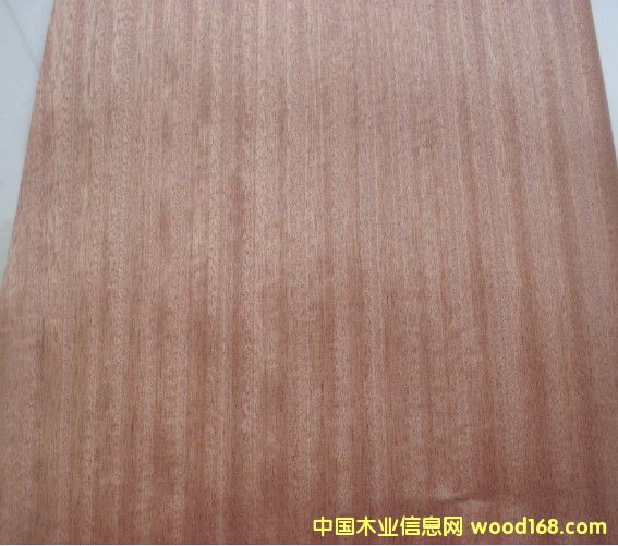 ����(y��ng)ɳ����ֱ�yľƤ