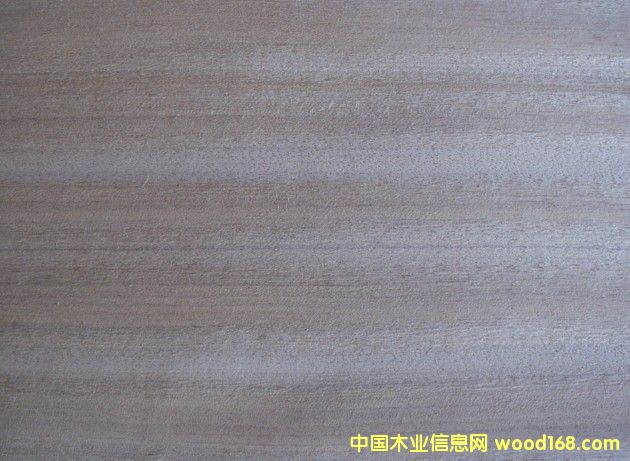 ����(y��ng)��z��ľƤ