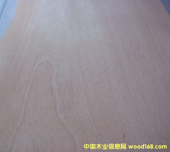 ����(y��ng)��骘�ľƤ