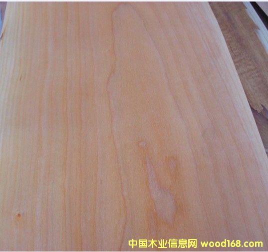 ����(y��ng)����ɽ�yľƤ