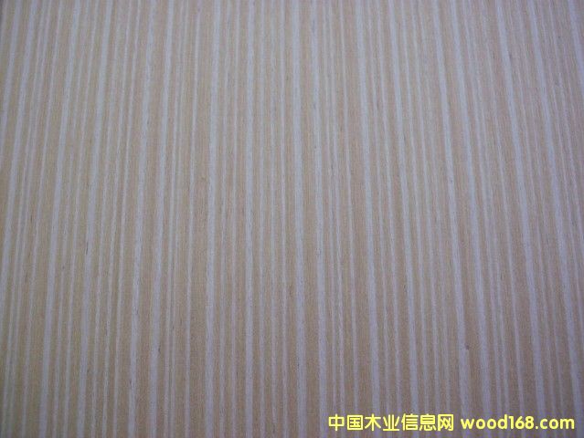 ����EV��ԴľƤ