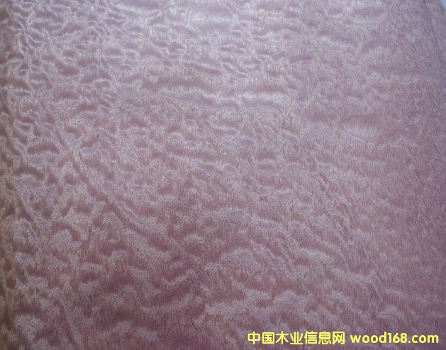 ��������ɳ����ľƤ