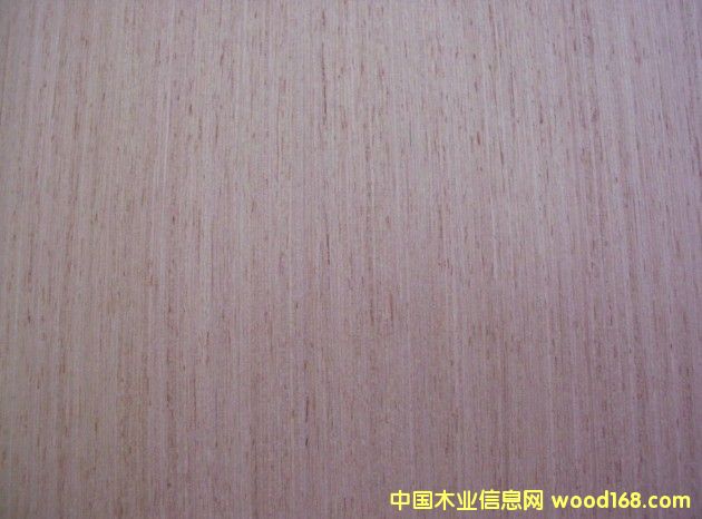 ����EV��ľľƤ