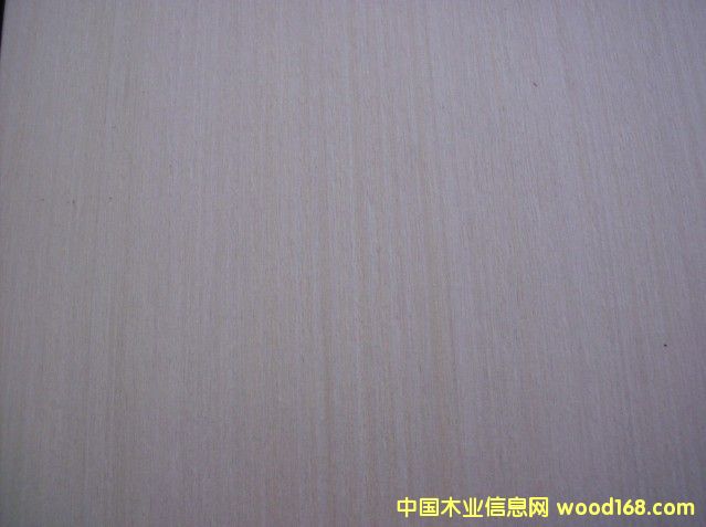 ����EV�׺���ľƤ