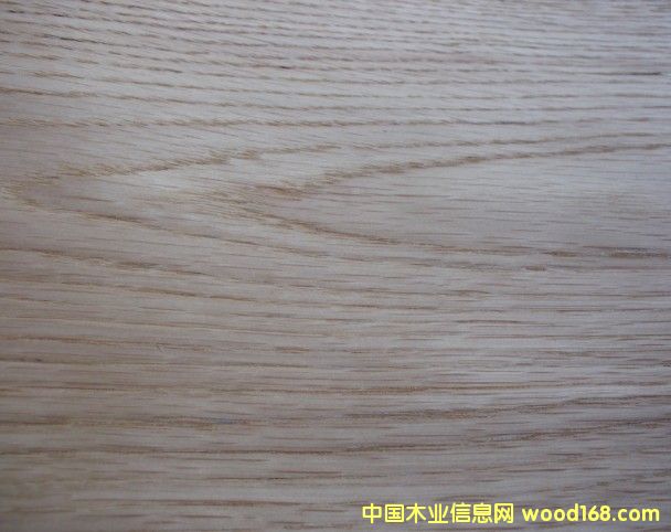 ����(y��ng)��ľɽ�yľƤ