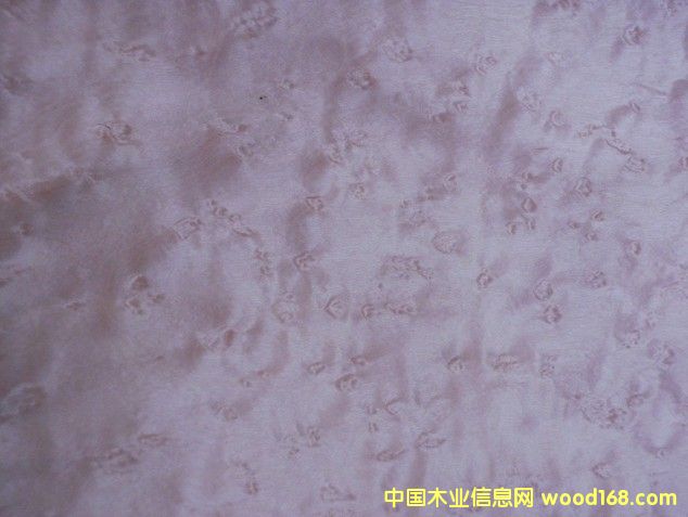 ����ȸ��ľƤ