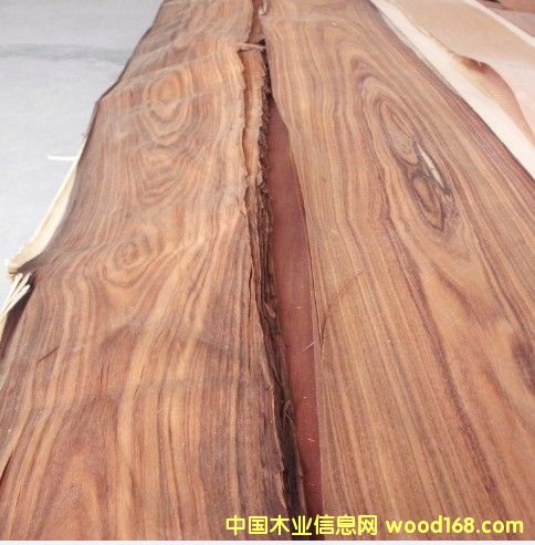 ����������֦ľƤ