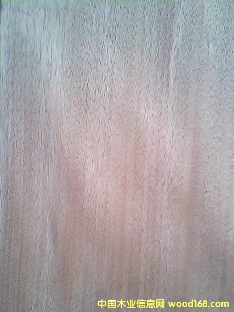 ����(y��ng)�t����ľƤ