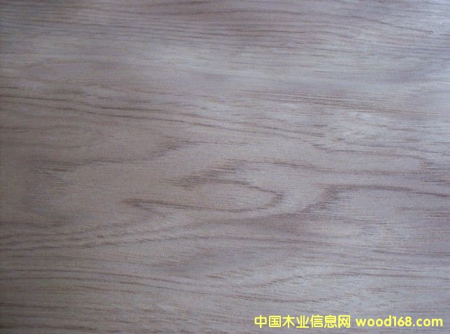 ����(y��ng)�ľľƤ