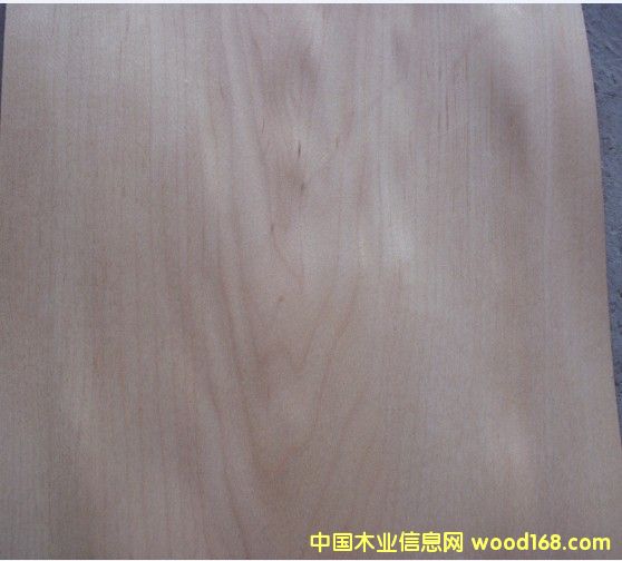 ����(y��ng)��ľɽ�yľƤ