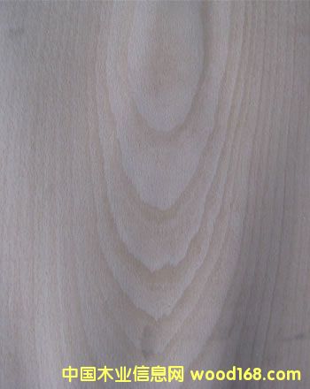 ����(y��ng)��ľɽ�yľƤ