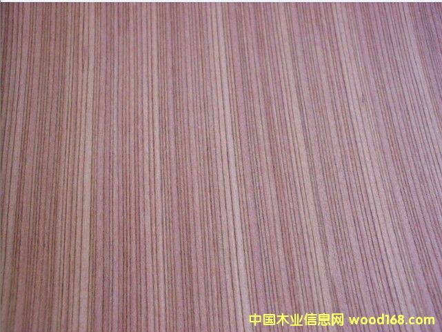 ����EV�t�z̴ľƤ