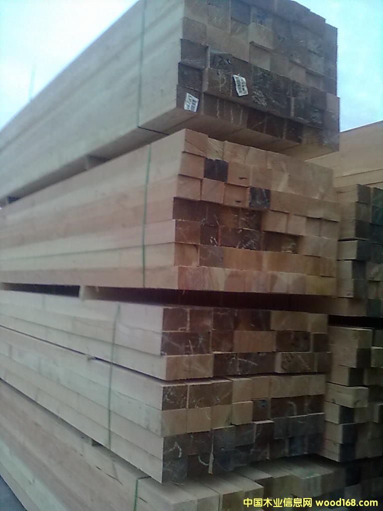 ������ľ��