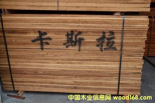 卡斯拉的詳細(xì)介紹