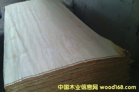 ������ľƤ��Ԕ��(x��)��B