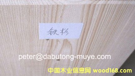 ���ô��Fɼ��Ԕ��(x��)��B