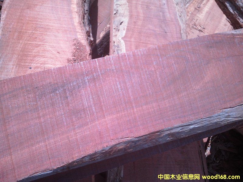 ����С�~�t̴��Ԕ��(x��)��B