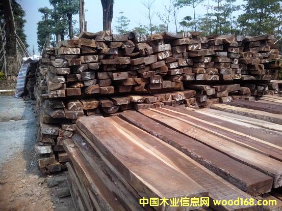 �P���sɫ����Ԕ��(x��)��B