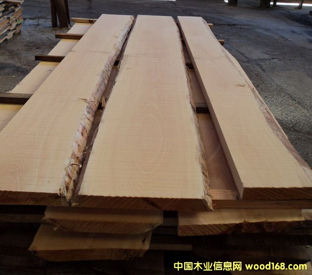 BEECH LUMBER��Ԕ����B