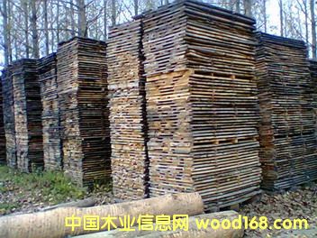 white oak unedged boards��Ԕ����B