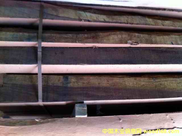 ������֦��Ԕ����B