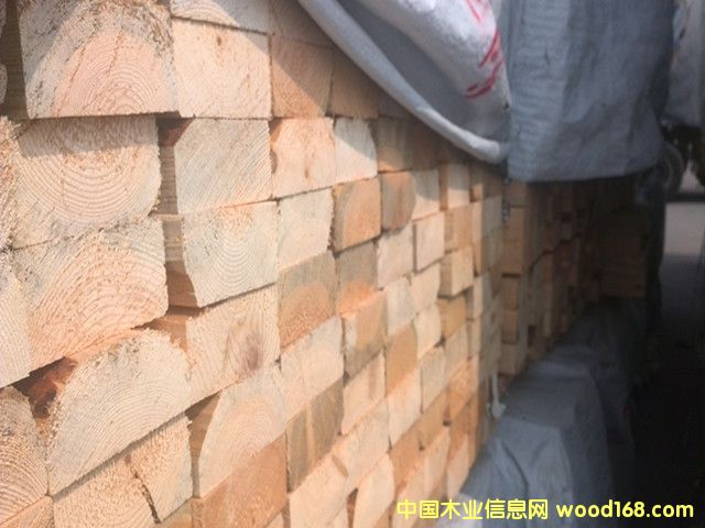 �Ӹ�����(j��)SPF2*4*12��Ԕ��(x��)��B