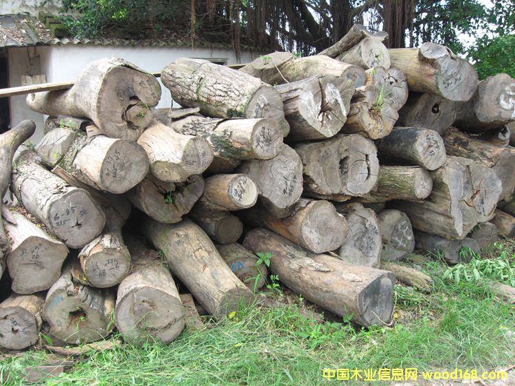 С�~�t̴ԭľ��Ԕ��(x��)��B