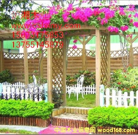 ���Ϸ���ľ��(h��)�⾰�^��Ԕ��(x��)��B