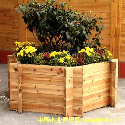 ���Ϸ���ľ�����Ԕ��(x��)��B